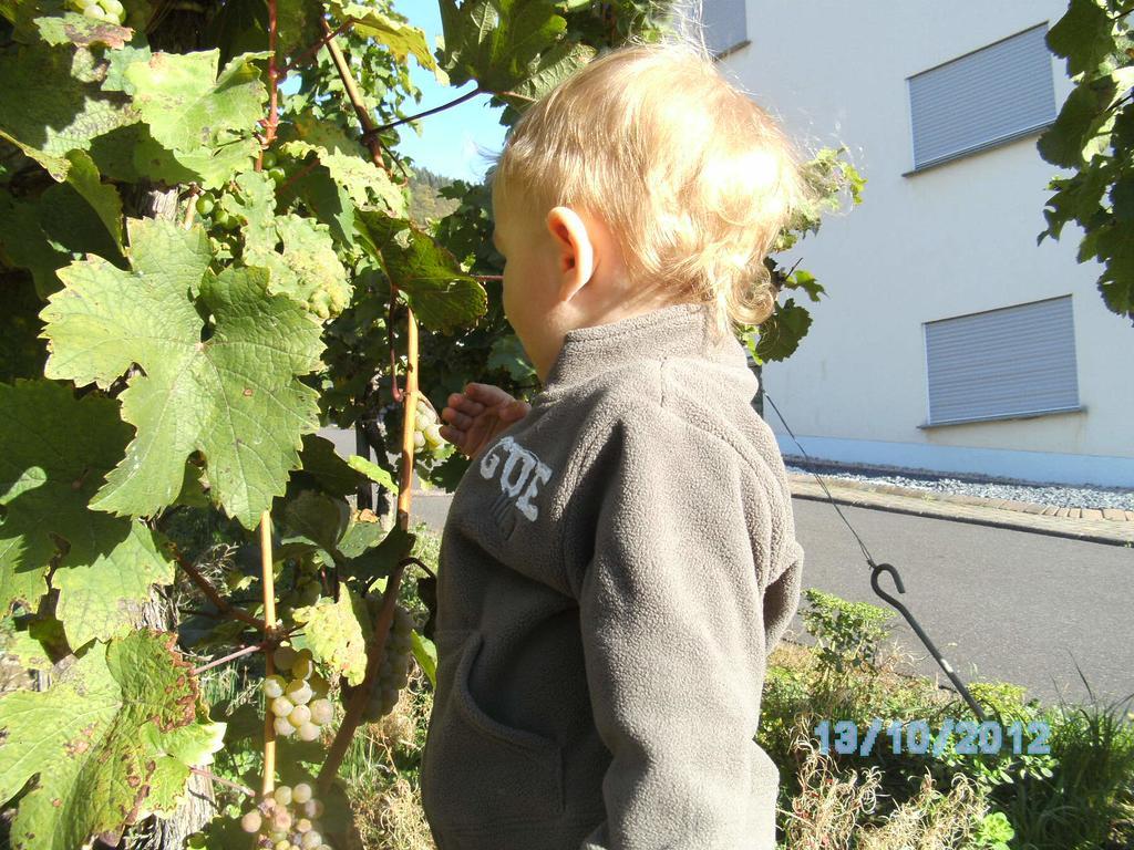 Gaestehaus Heidi Kröv Buitenkant foto